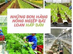 Đi Làm Nông Ở Đài Loan 2024 Mới Nhất Ngày Nào