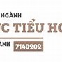 Mã Ngành Giáo Dục Tiểu Học Trường Đại Học Tây Bắc