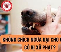 Người Bị Bệnh Dại Có Kêu Như Chó Sủa