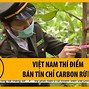 Tín Chỉ Carbon Giá