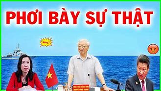 Tin Tức Thời Sự Việt Nam Và Thế Giới